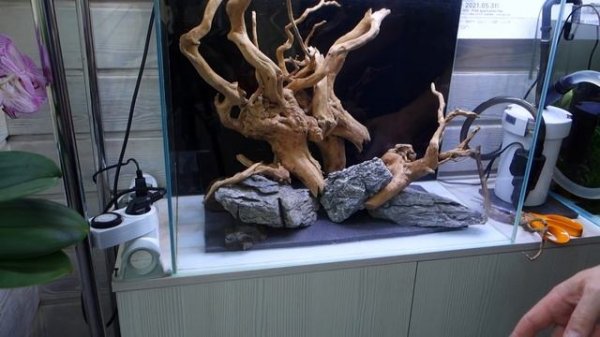 aquascaping, #Акваскейпинг. Составление хардскейпа, маленькие секреты. Aquadesign.