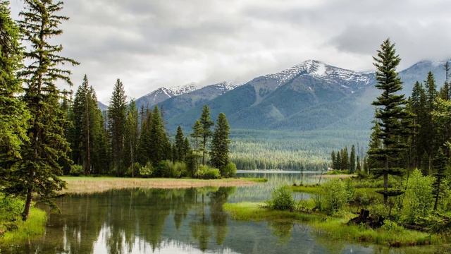 21 days Reiki self-healing meditation смотреть онлайн