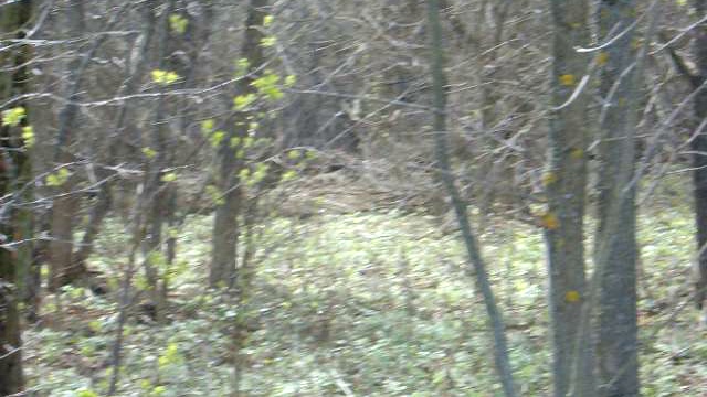 Весенняя панорама смотреть онлайн