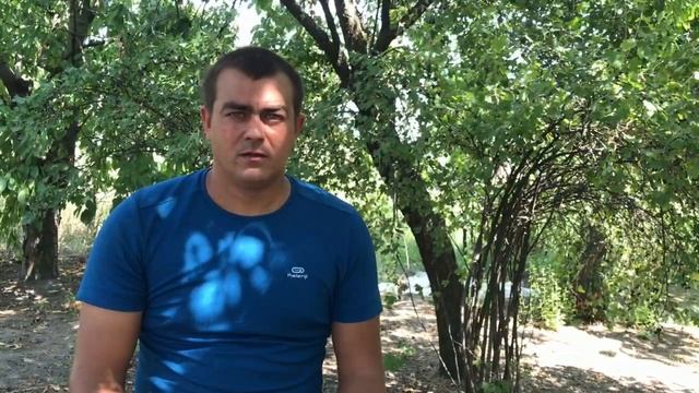 62/20 Флорида Бьюти! Клубника Флорида Бьюти! Сорт НСД Флорида Бьюти. Обзор Август 2020 смотреть онлайн