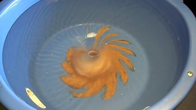 Homemade Blue Bowl - Gold Recovery смотреть онлайн