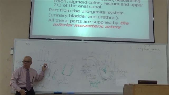 Embryology Dr.Jamal | GIT 5 смотреть онлайн
