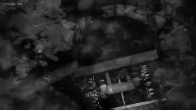 survivalism tardusted - when black birds fly MV смотреть онлайн