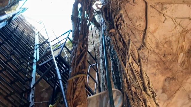 Француженка в Мексике - 14 дней наших приключений