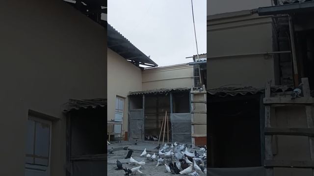 13 июня 2023 г. смотреть онлайн