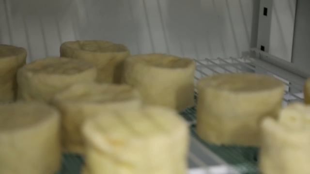 ? Ананасы на ферме в России! Как работает ферма INSIGHT? смотреть онлайн