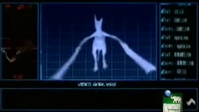 Dragons: A Fantasy Made Real AKA The Last Dragon(2004)- Anatomy Of A Dragon смотреть онлайн