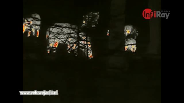 Een rotte varkens gespot met de Infiray Eye E3 max V2 warmtebeeld camera смотреть онлайн