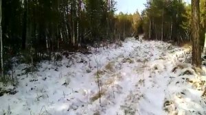 Мотоблок МТЗ на гусеницах