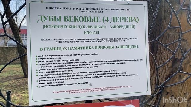 не ПРОДАМ мяч-фотоаппарат 2002-го года;В парке Горького новая будка для охраны смотреть онлайн