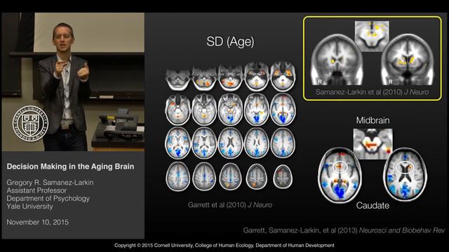 Decision making in the Aging Brain - Gregory Samanez-Larkin смотреть онлайн