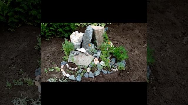 Красивая клумба - делаем быстро, с хорошим настроением.#клумба #цветник #сад #петуньи смотреть онлайн