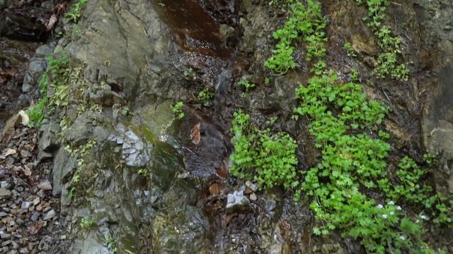 Ялова Термаль Водопад, Турция, обзор смотреть онлайн
