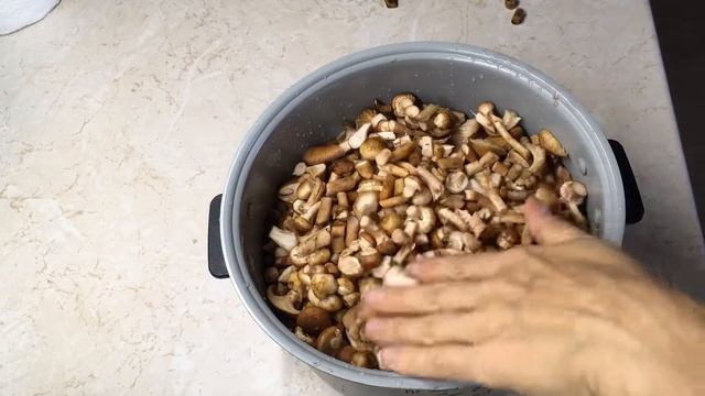 Самая быстрая заготовка грибов на зиму смотреть онлайн