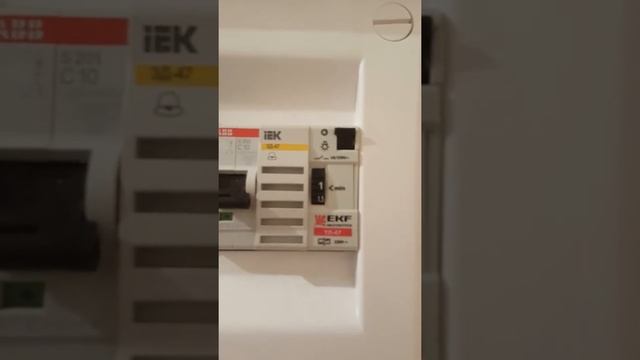 24 апреля 2019 г.