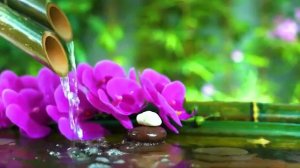 Успокаивающая музыка со звуками природы Бамбуковый фонтан