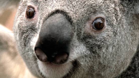 Robloxapp-20211001-1219237