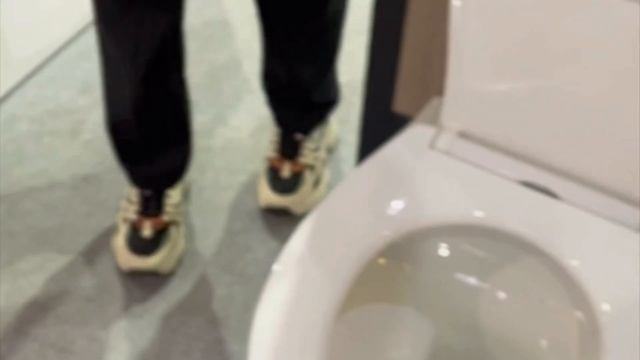 Унитаз со складной крышкой. Необычное решение в сантехнике смотреть онлайн