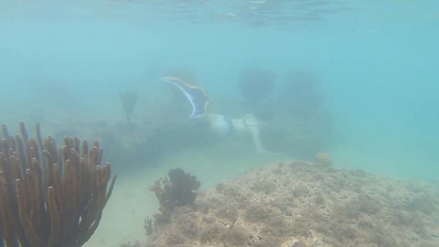 Real life mermaid relaxing ocean swim with tropical fish and giant underwater statue смотреть онлайн