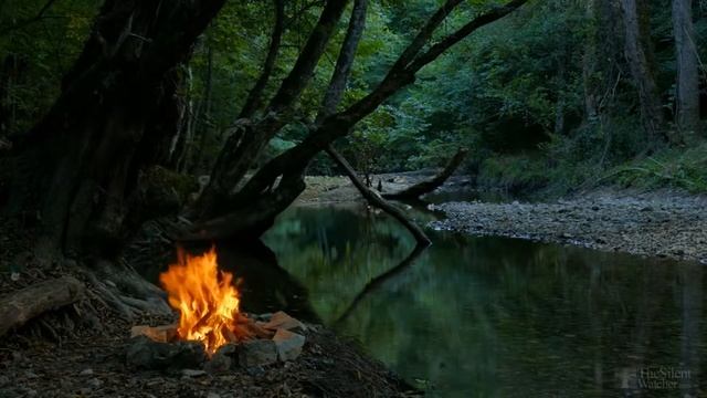 Посадка пионов весной в грунт