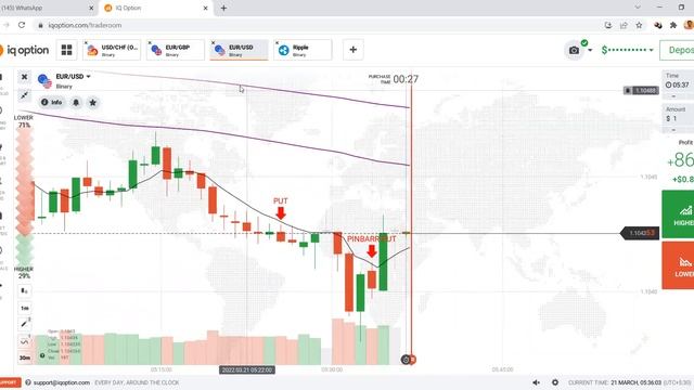 CALL / PUT | Option IQ OPTION TRADERS | Beginners Tips смотреть онлайн