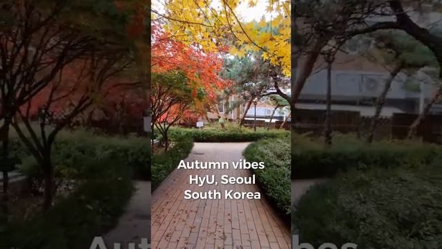 Autumn vibes Hanyang University Seoul South Korea #shorts смотреть онлайн