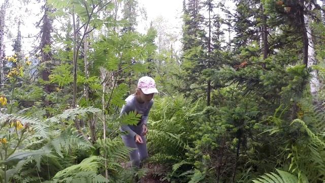 поднебесные зубья 2017 смотреть онлайн