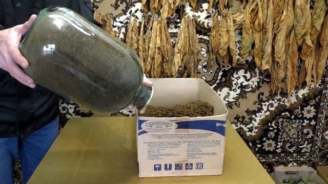 Табаководство: Хранение табака зимой от Василича. смотреть онлайн