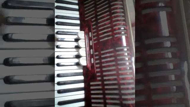 Weltmeister 48 bass - testing the accordion смотреть онлайн