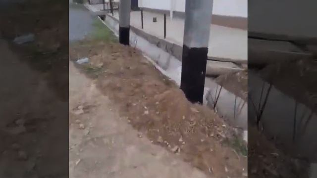 Установка бетонных столбов для электричества (опор) в г. Шымкент, ул. Амангелди смотреть онлайн