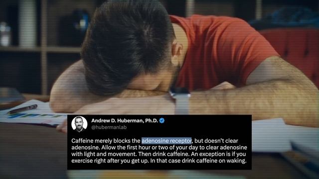 I tried Andrew Huberman's Morning Routine FOR 100 DAYS and became LIMITLESS... смотреть онлайн