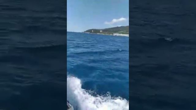 Чайка ловит рыбу в полете :) смотреть онлайн
