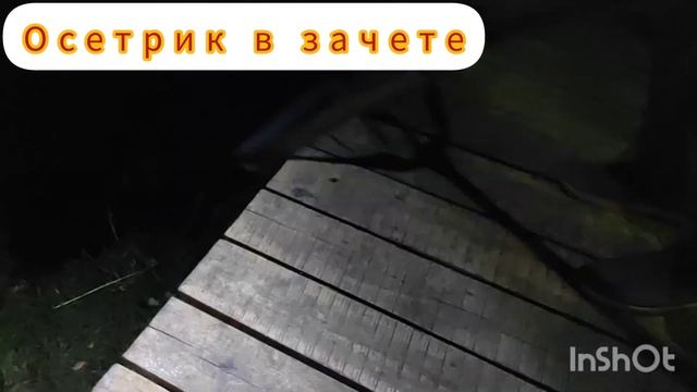 29 сентября 2023 г. смотреть онлайн