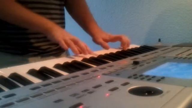 Rammstein - Donaukinder (Keyboardcover)