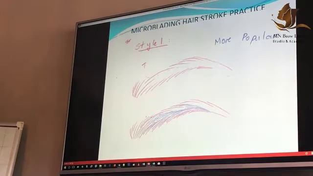 Lecture of 3D Microblading | Microblading Concept FREE ONLINE Tutorial смотреть онлайн