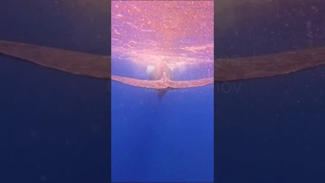 Маврикий Mauritius 毛里求斯 смотреть онлайн