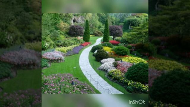 nuntasii - o lili 2020 смотреть онлайн