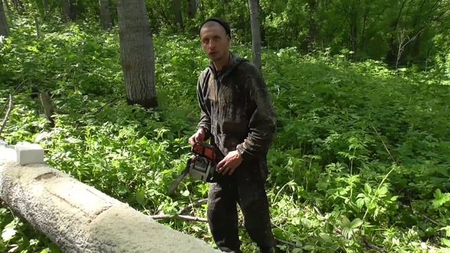 Солонец / делаем солонец на лося смотреть онлайн