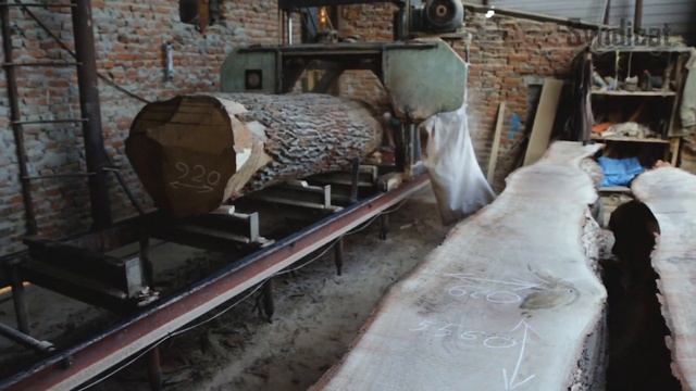 Слэбы, спилы и ценные породы дерева. Мастерская Syndicat.