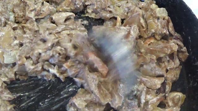 Наука о Животных и их Поведение