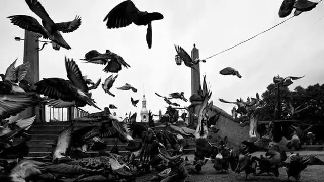 Творчество фотохудожника Ларисы Ивановой. Выставка «Красный уровень одиночества» в Доме Озерова. смотреть онлайн