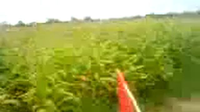 the maize maze part 4 смотреть онлайн