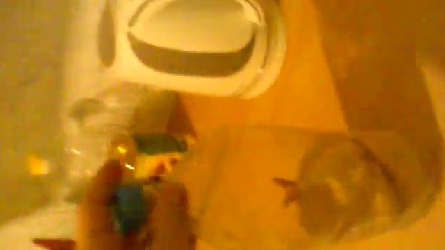 Зимняя рыбалка Как ненадо хранить живца смотреть онлайн