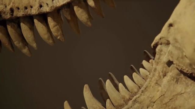 Самый Большой выпуск про Динозавров за 2021 год от канала Эпоха Динозавров смотреть онлайн