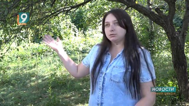 Как улица Садовая превращается в тенистую смотреть онлайн