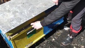 КАК ПОСТАВИТЬ ПОЛОСКИ ОТ КЛЕЩА ВАРРОА в улья