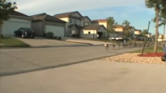 Утиный забег смотреть онлайн