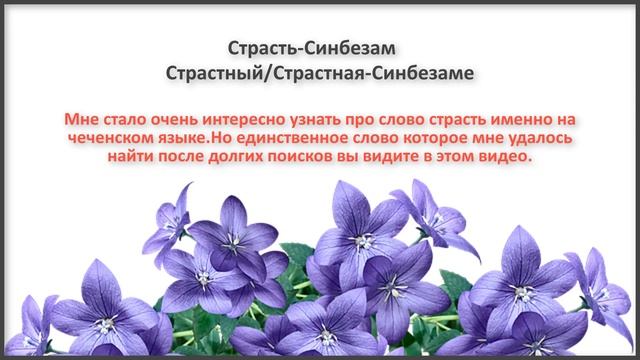 Слово страсть на чеченском языке смотреть онлайн