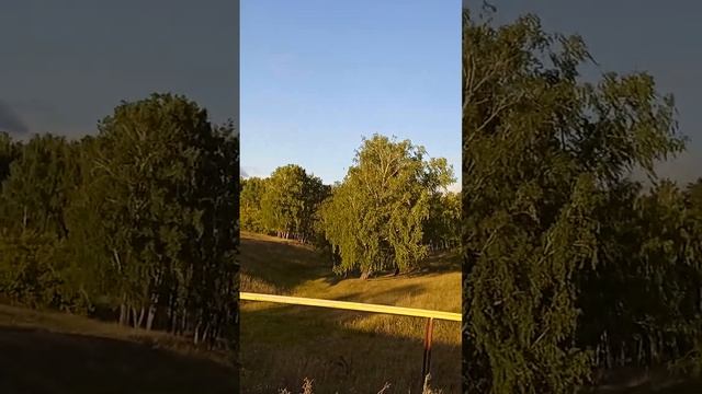 Вертолёт пролетел прямо надо мной. смотреть онлайн