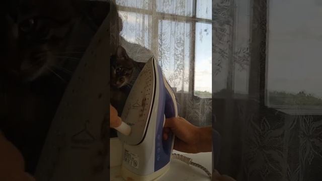 ТЕСТ/карандаш для чистки утюгов смотреть онлайн